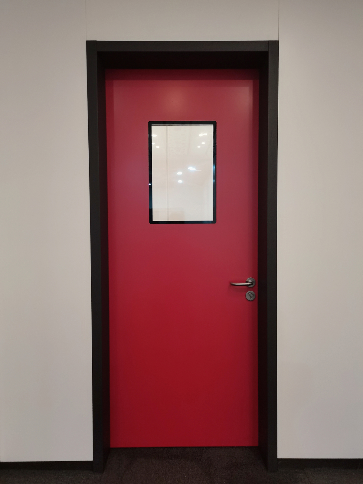 鋼質(zhì)雙玻單開(kāi)門(mén)